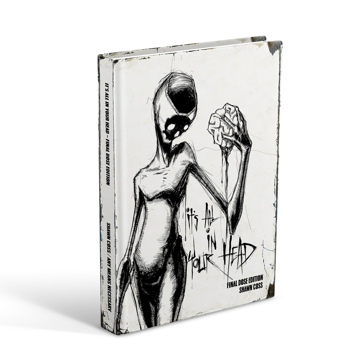 เล่มที่ 3 - หนังสือรวมภาพประกอบ It's All In Your Head