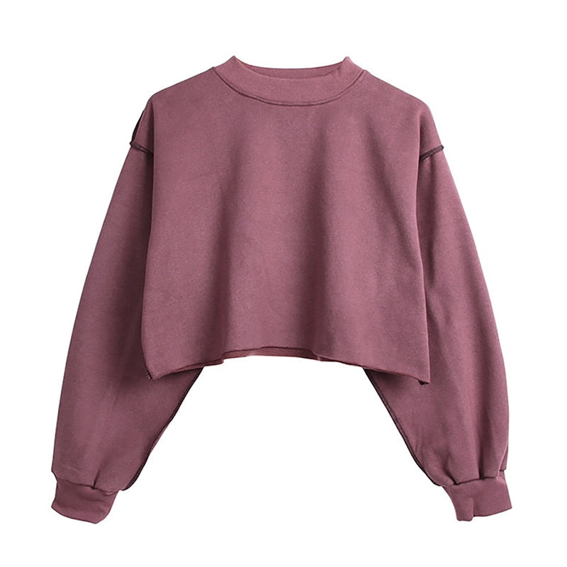 เสื้อฮู้ดสเวตเตอร์ผู้หญิงผ้าคอตตอนเนื้อหนา สไตล์สตรีทแวร์ คลุมหัว แขนยาว ทรงหลวม คาร์ป สวมหัว