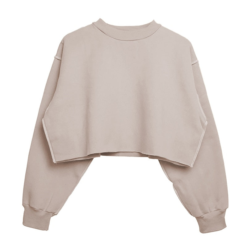 เสื้อฮู้ดสเวตเตอร์ผู้หญิงผ้าคอตตอนเนื้อหนา สไตล์สตรีทแวร์ คลุมหัว แขนยาว ทรงหลวม คาร์ป สวมหัว