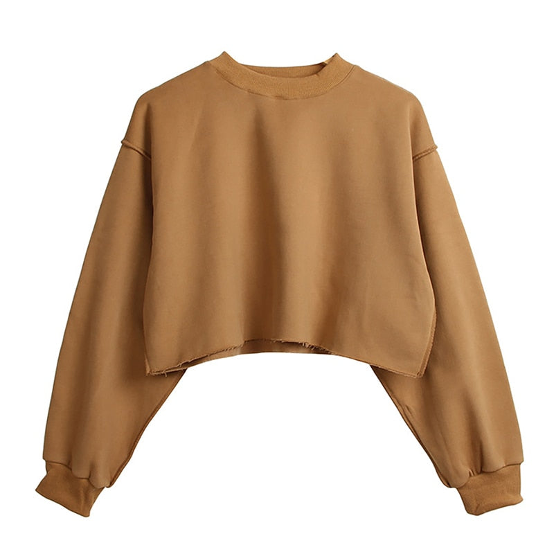 เสื้อฮู้ดสเวตเตอร์ผู้หญิงผ้าคอตตอนเนื้อหนา สไตล์สตรีทแวร์ คลุมหัว แขนยาว ทรงหลวม คาร์ป สวมหัว